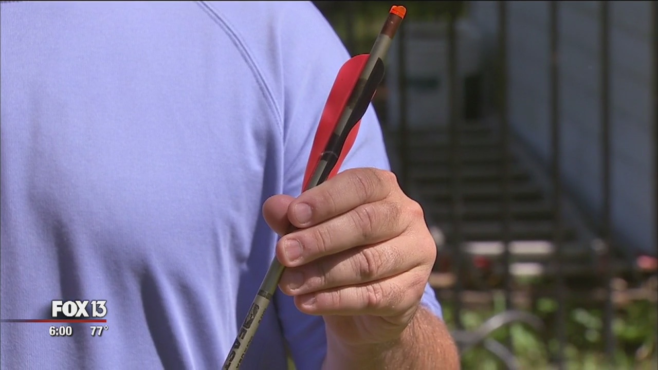 Ducks found shot with arrow