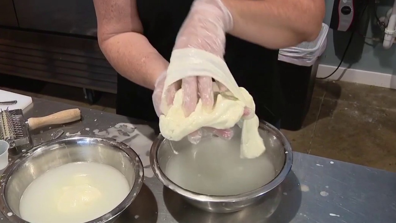 Cheeseology in Ybor City