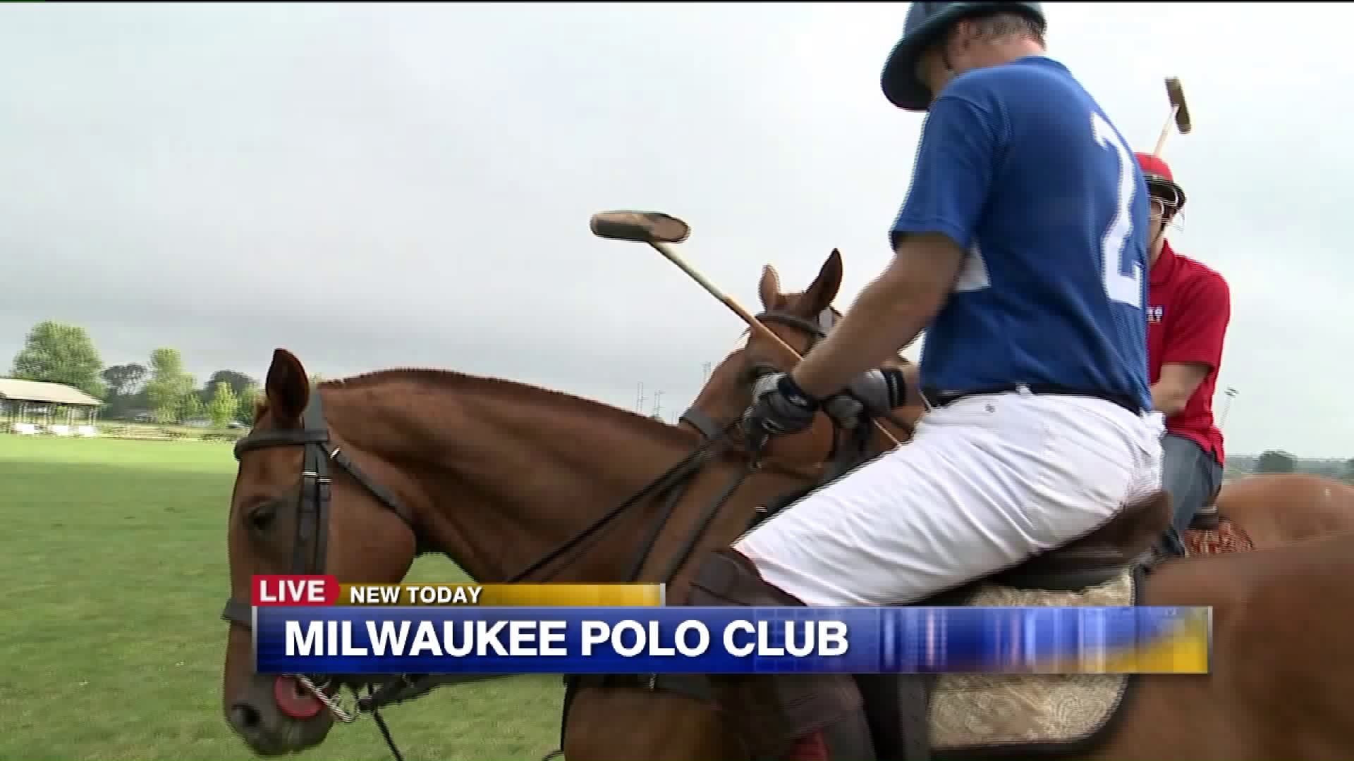 Carl learns about polo players