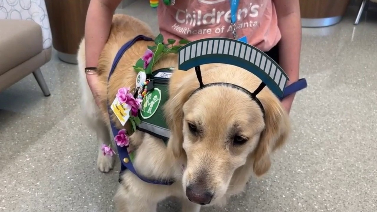 Children’s Healthcare of Atlanta hosts 'Mutt Gala' 