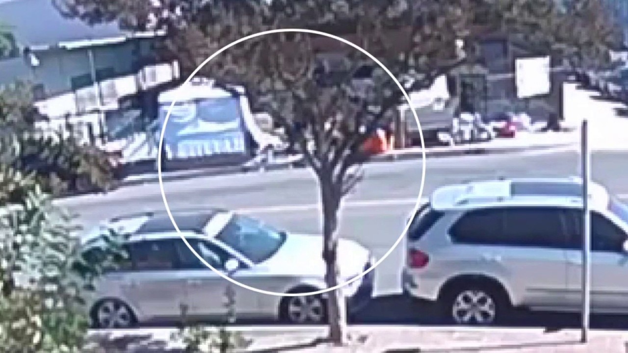 Woman attacked by pit bulls at East LA encampment