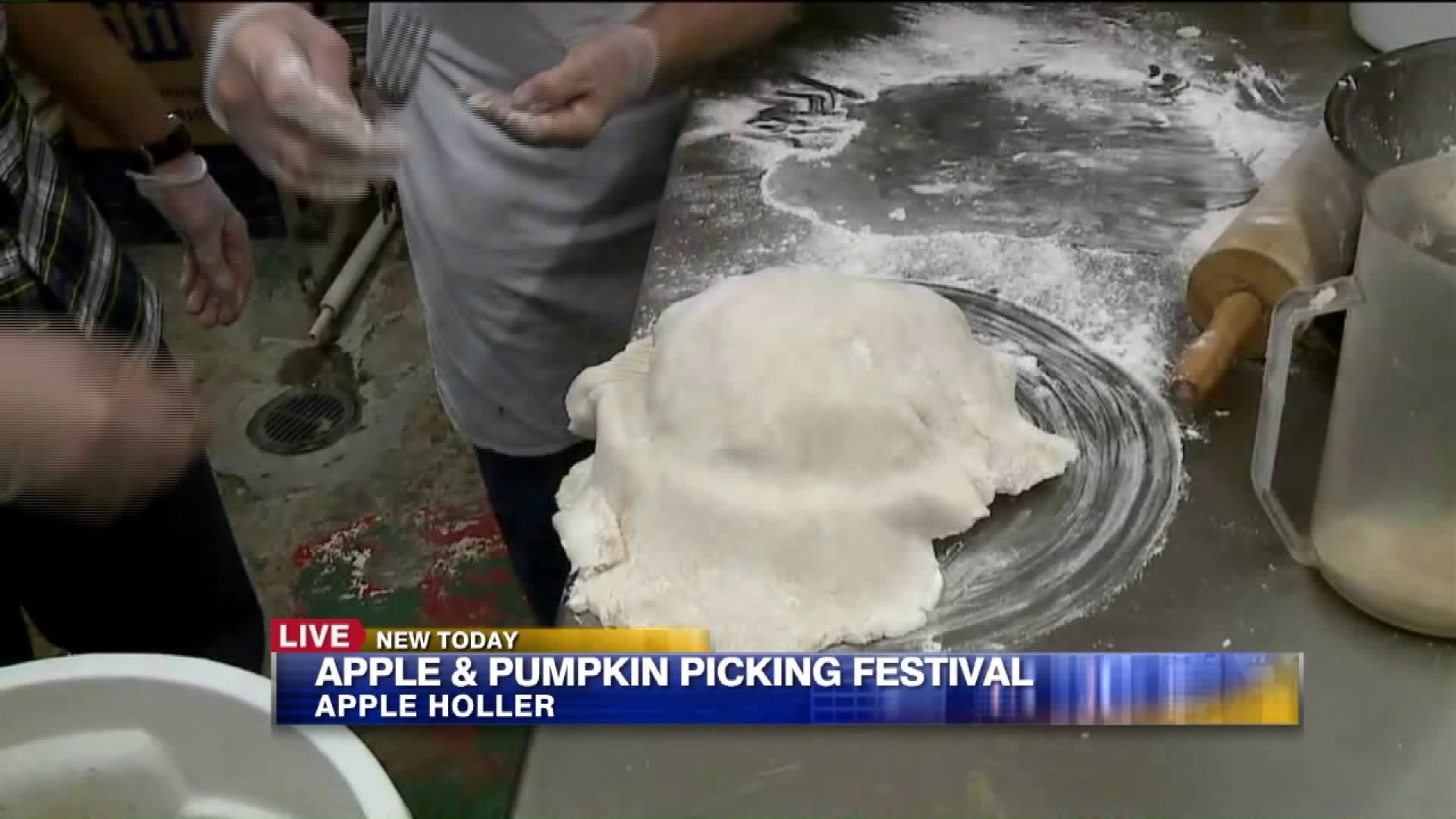 About Apple Holler