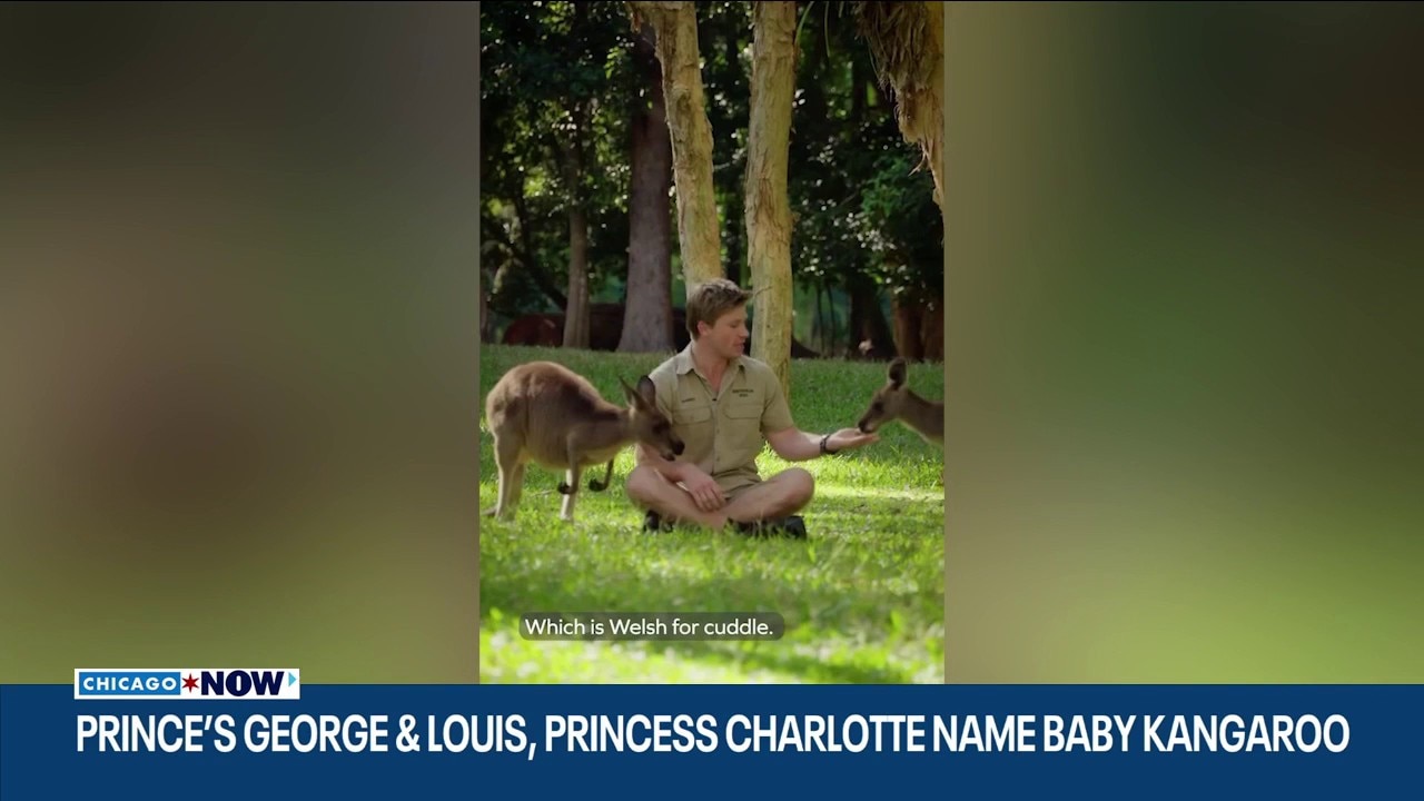  Robert Irwin says royal children chose ‘perfect’ kangaroo name | ChicagoNOW