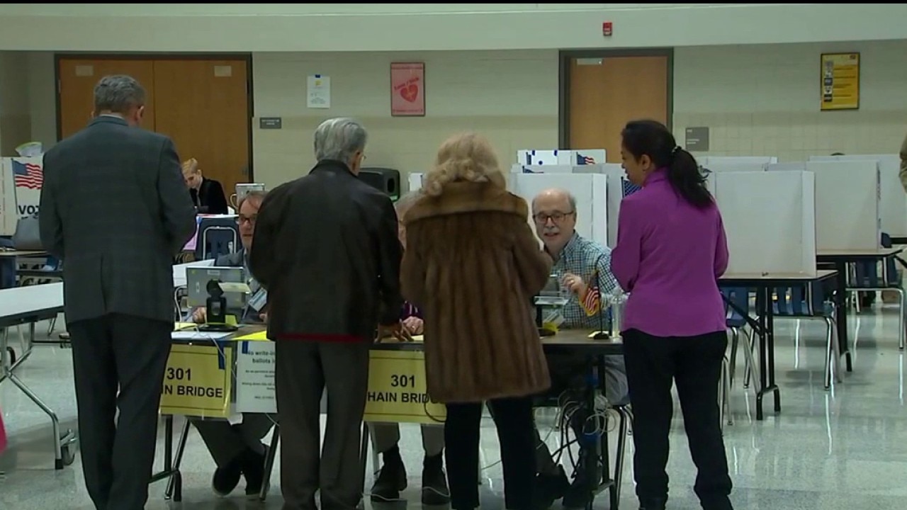 Primary Election: Reviewing Metro Detroit millages on the ballot