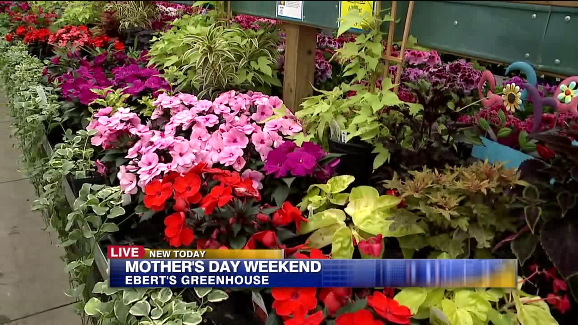 Mother`s Day weekend