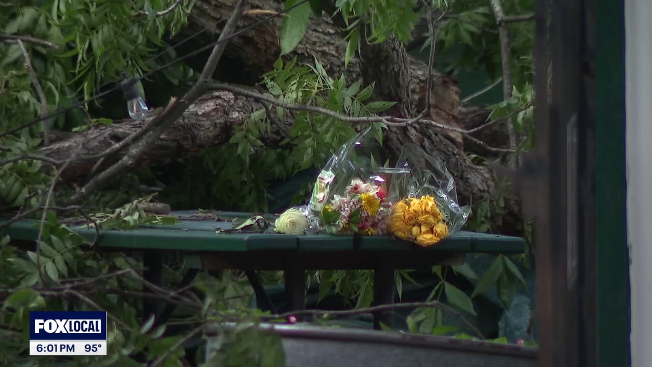 Family of man killed by tree, sues Texas restaurant 