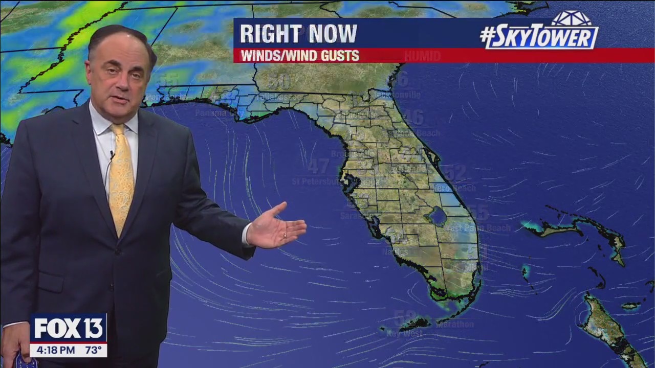 Tampa weather | Sunny, warmer stretch ahead