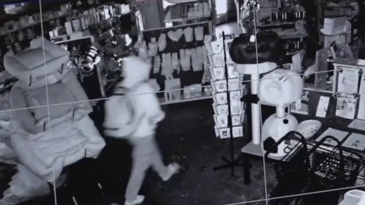 Burglar smashes window at LA pet store