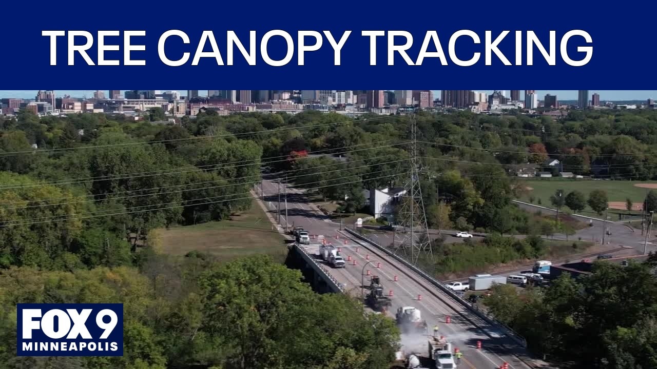 Minnesota DNR mapping tree canopy changes