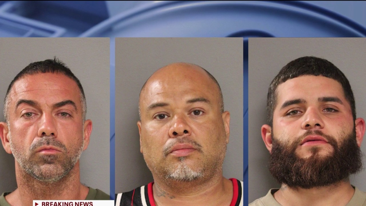 3 men charged after threatening Chicago TV news crew near Adler Planetarium: police