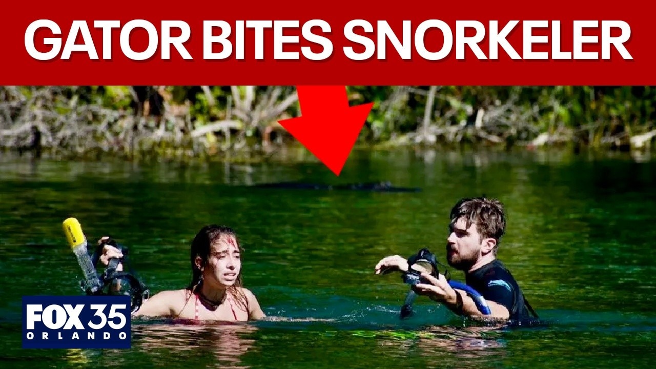 Marion Co. river reopens after gator bites snorkeller