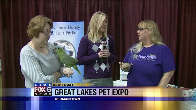 Laura has a blast checking out birds, retiles at Great Lakes Pet Expo