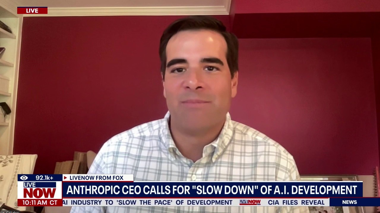 Anthropic CEO calls for 'slow down' of A.I. development 