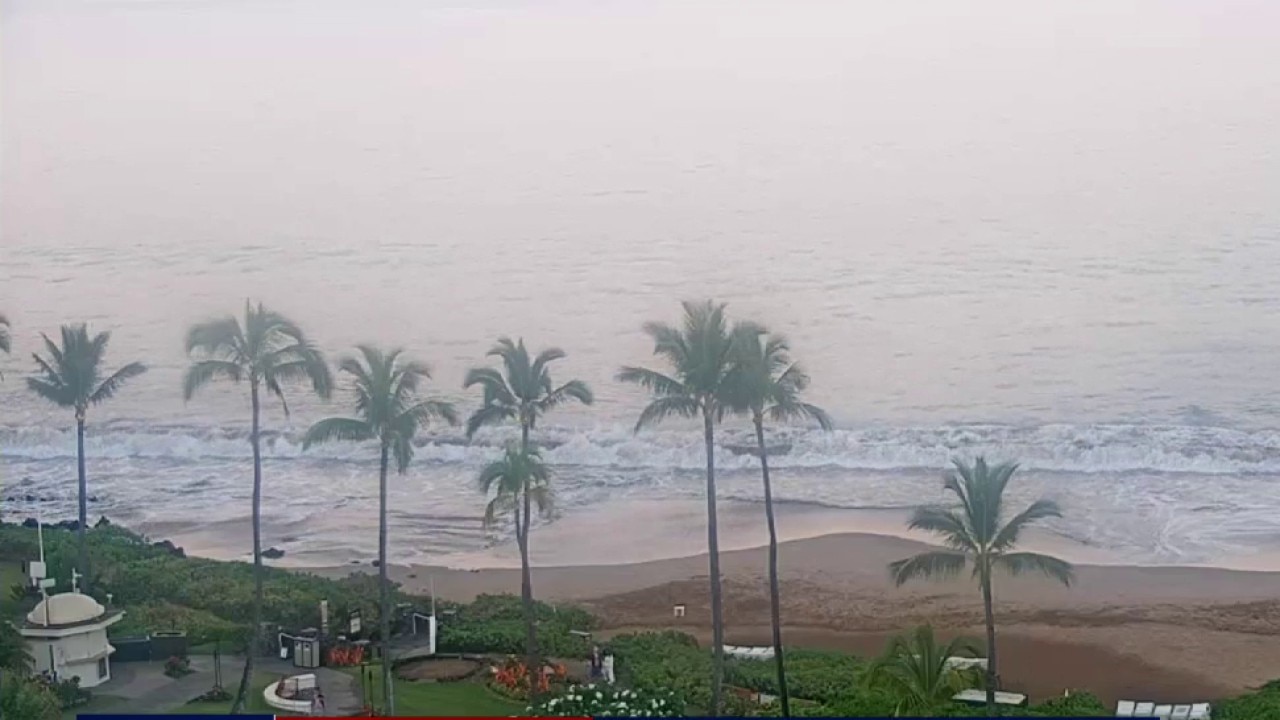 Maui travel rebound
