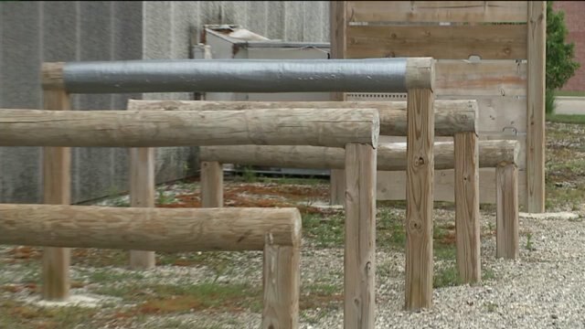 Chip checks out the Tough Mudder challenge course