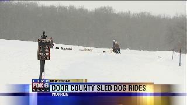 Laura shows off her mushing skills