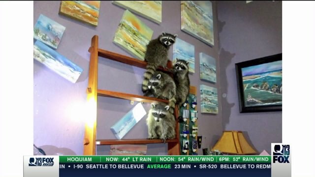 Masked bandits caught in the middle of art heist in viral photo