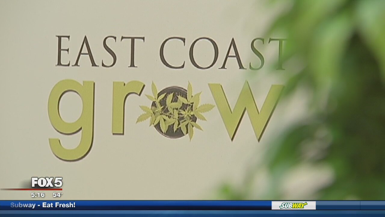 New marijuana workplace web comedy series filming in DC