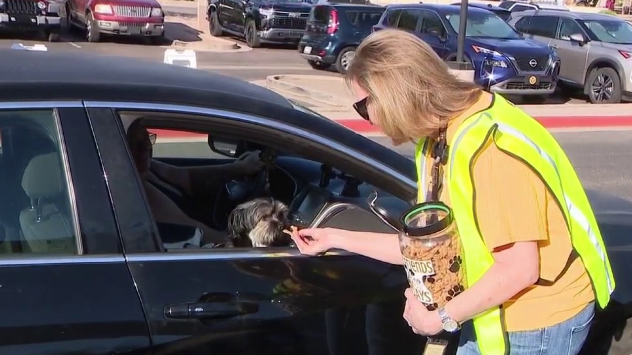 Chandler middle school celebrates National Dog Day