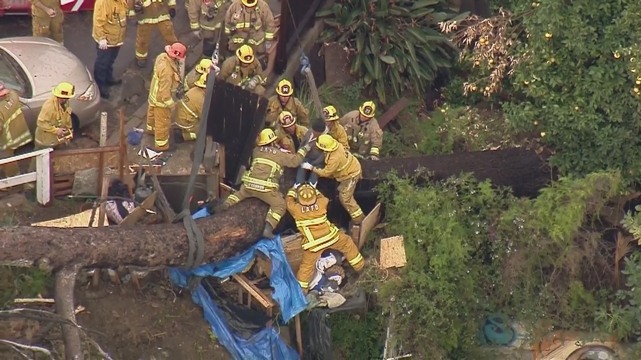 Firefighters rescue man trapped underneath fallen tree in Echo Park