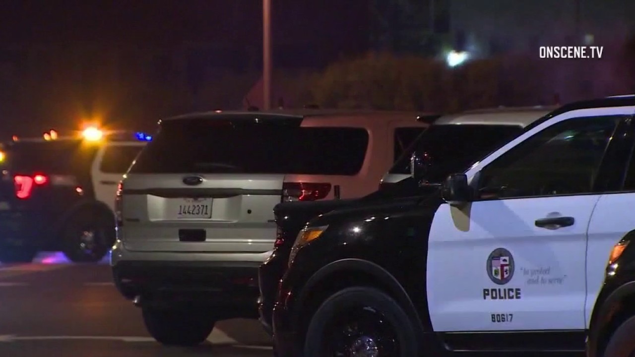 LAPD temporarily disbanding South LA anti-gang unit
