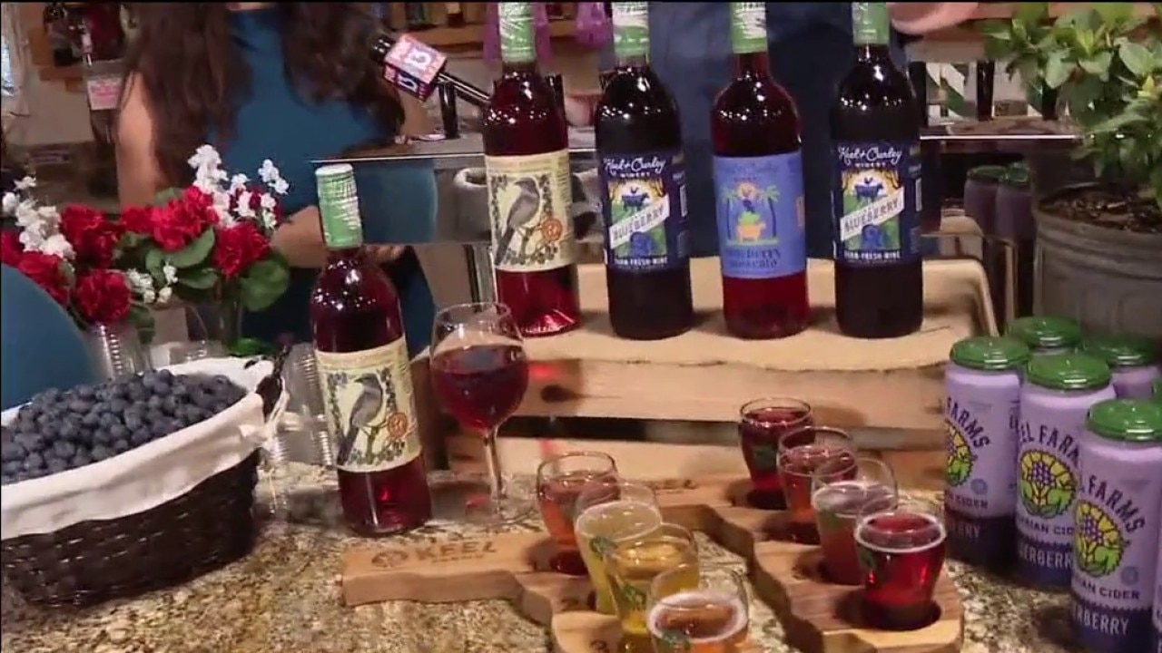 Blueberry Festival at Keel Farms in Plant City