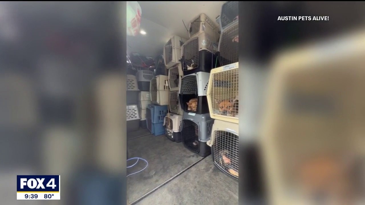 Hill Country animal shelters seeking help after floods