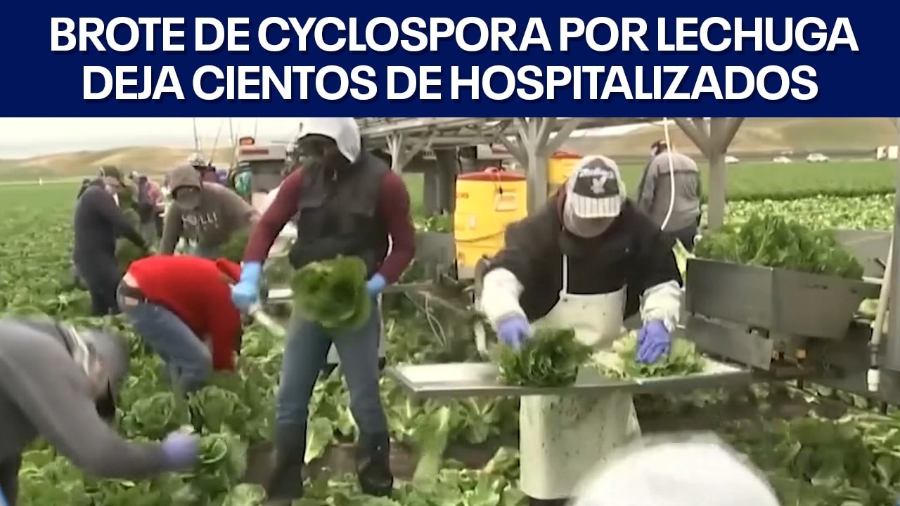 FOX 7 Español - 7/31/2026 Titulares