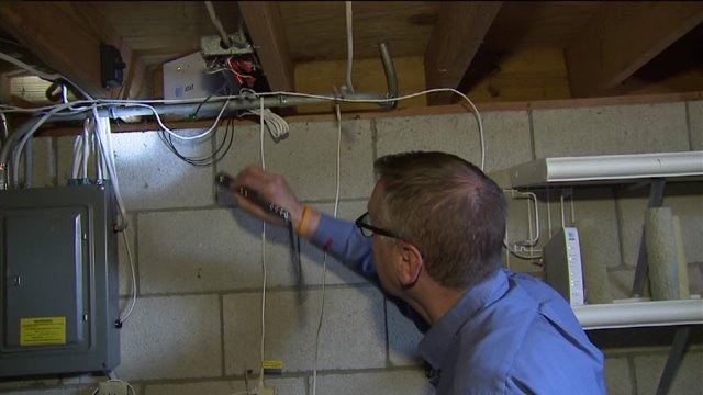 Indoor pest prevention tips