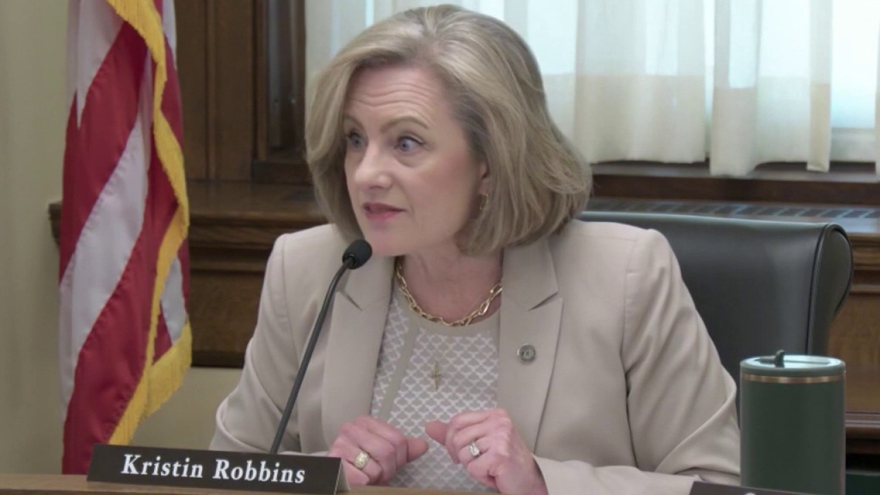 Committee on MN fraud highlights years of issues