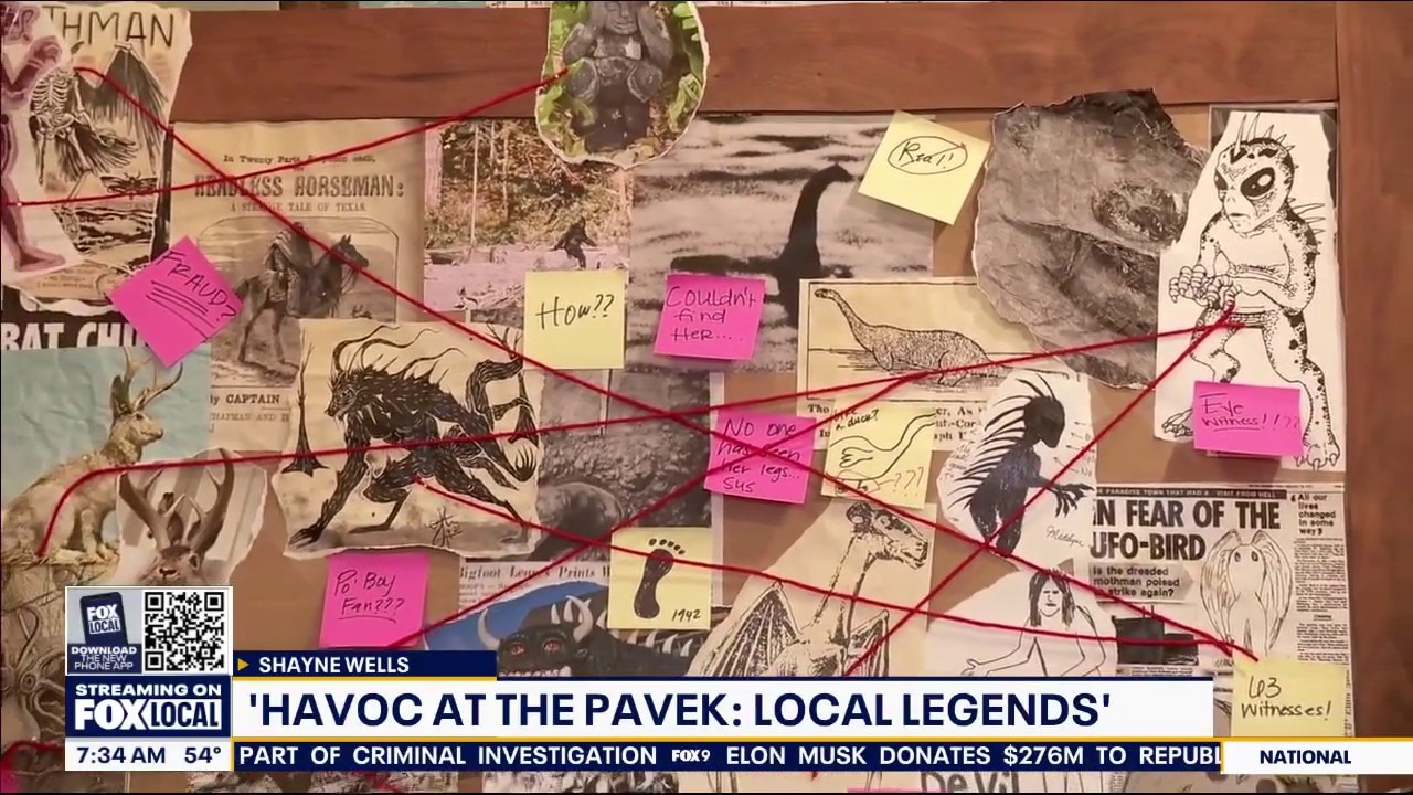 Havoc at the Pavek returns with local legends STEM mystery