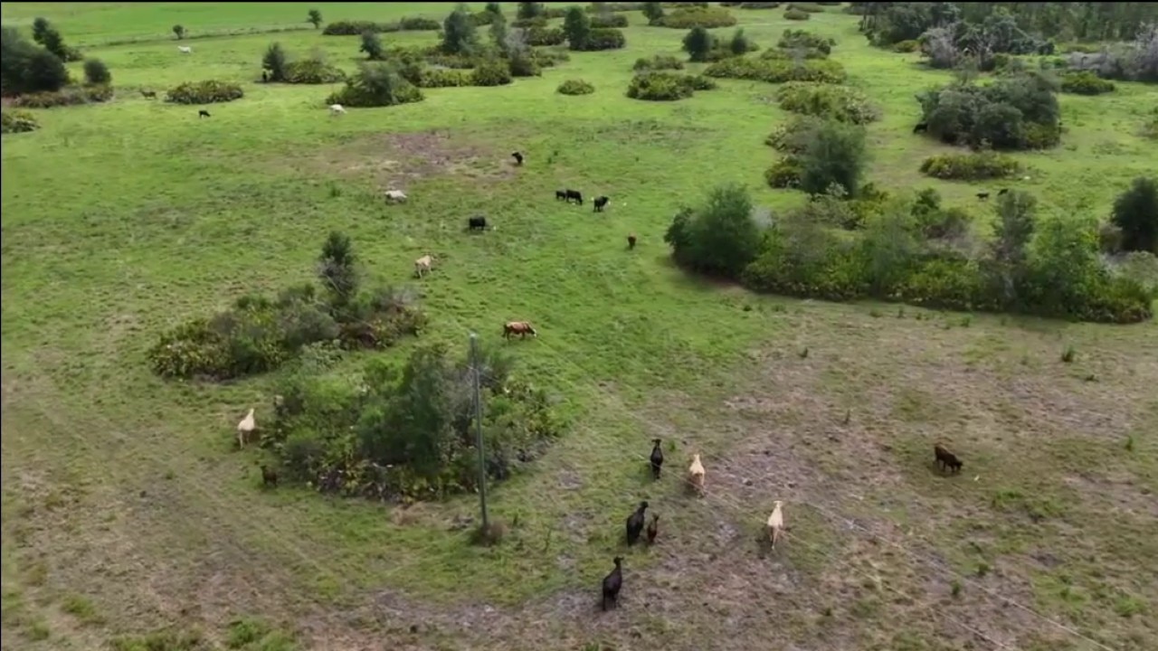 Pasco County's 4G Ranch