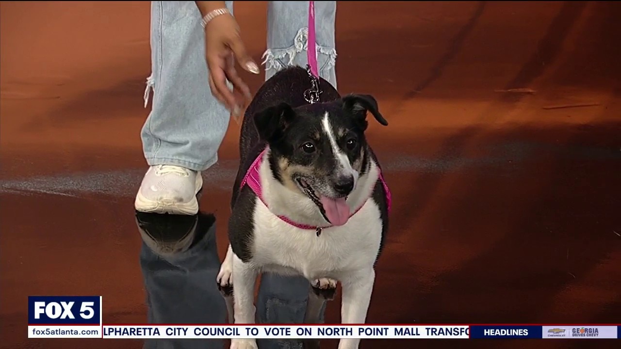Pet of the day: Evie