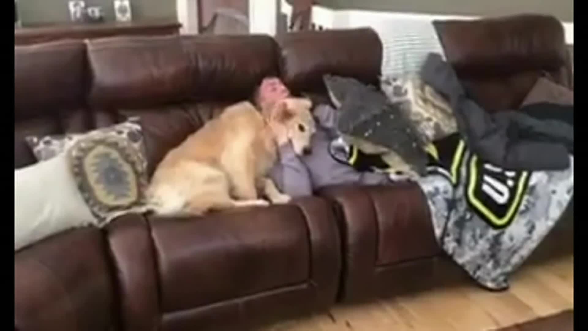 Army pilot surprises dog when he returns home from deployment