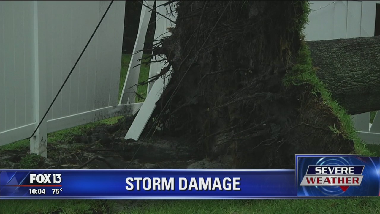 Storms, topple trees, and damage a roof