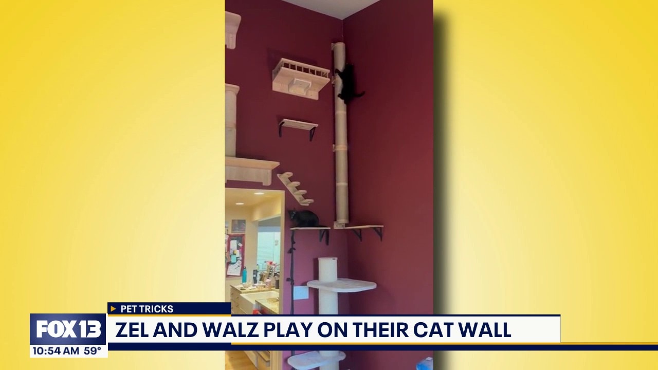 Pet Tricks for Friday, September 18
