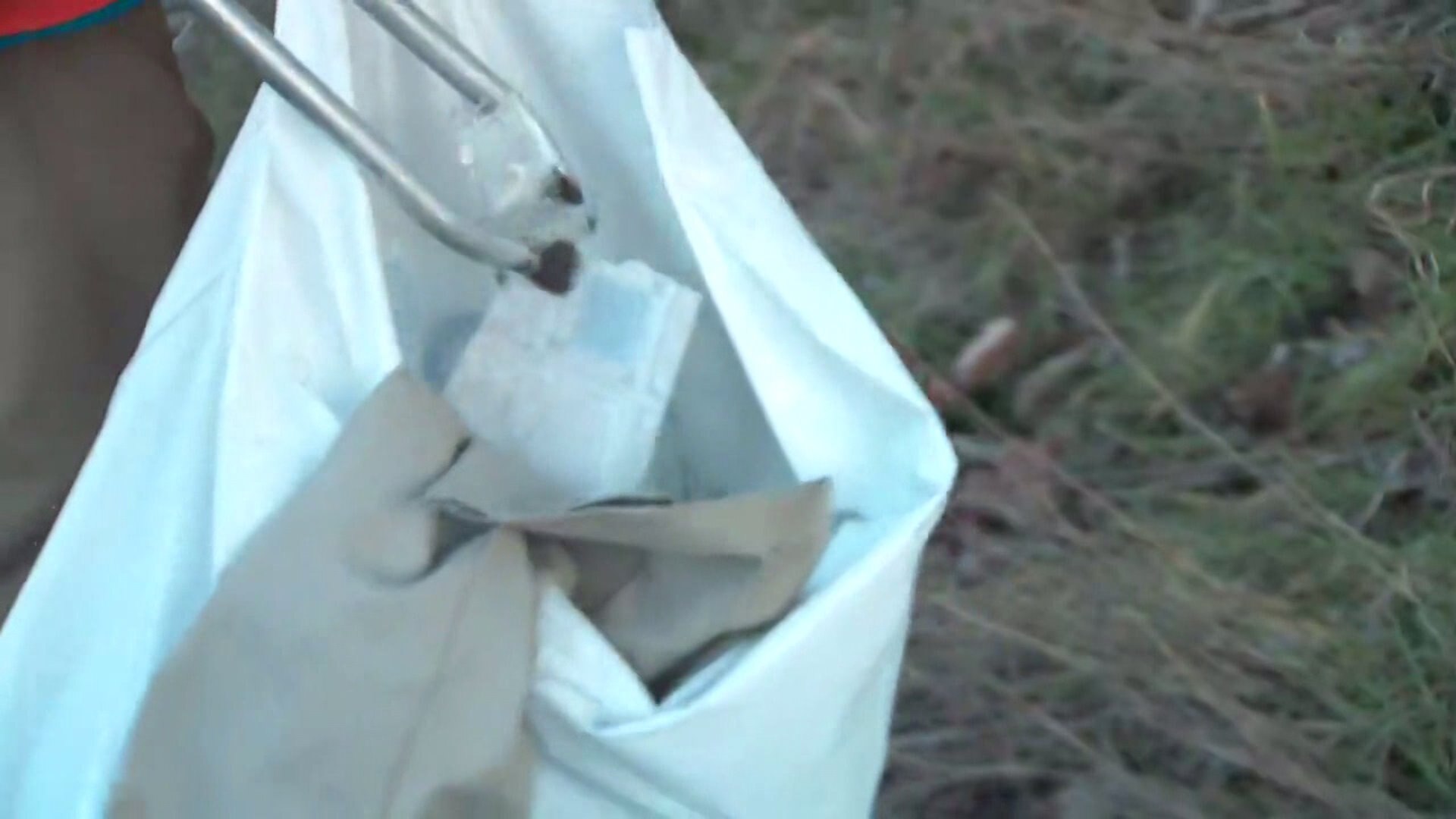 Dept. of Ecology summer job