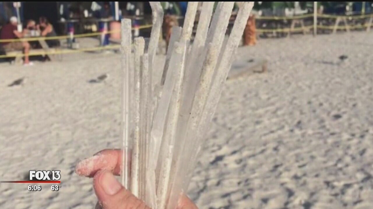 Tampa joins anti-straw movement