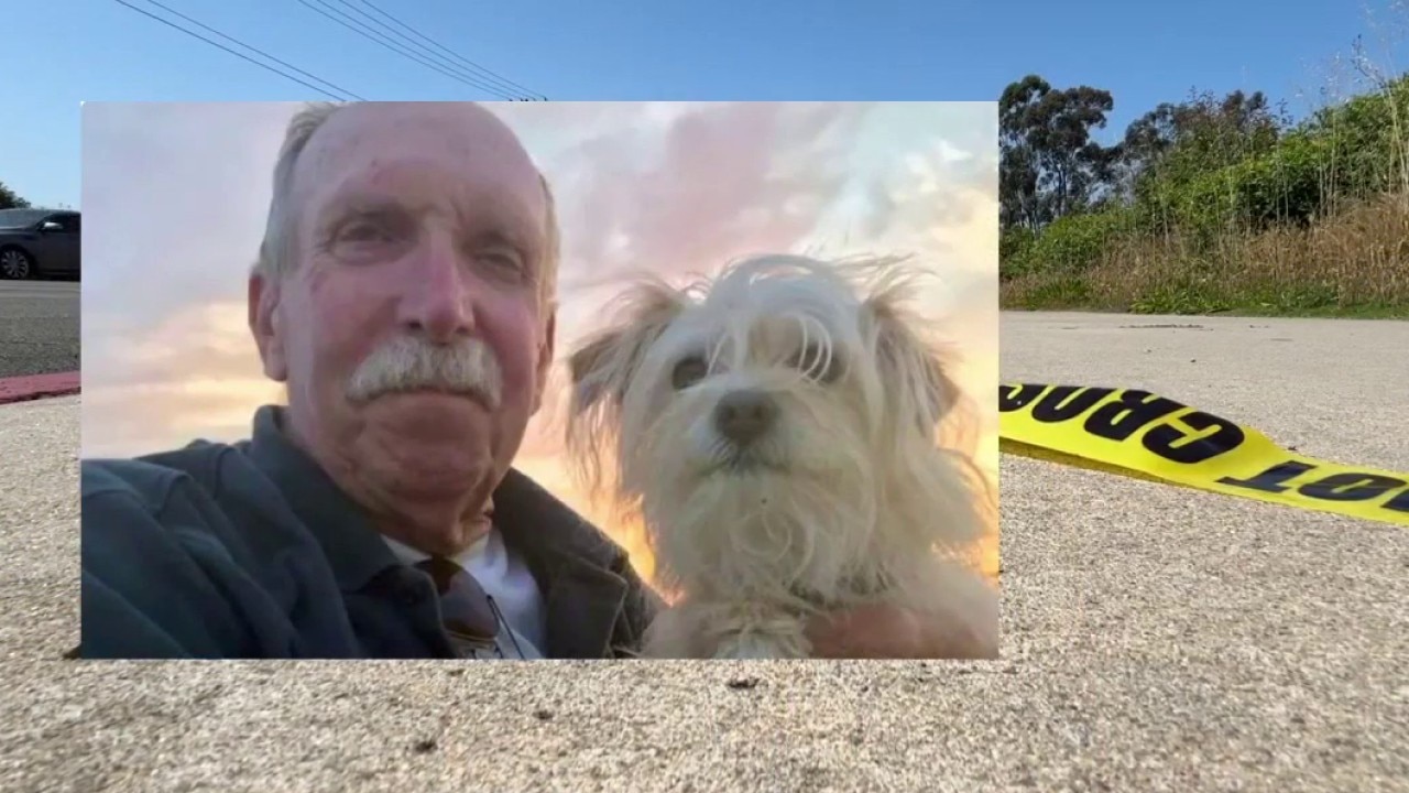 Veteran dies after e-motorcycle hit-and-run crash