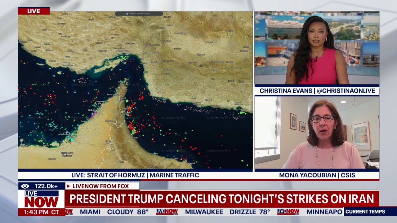 Trump cancels scheduled strikes on Iran