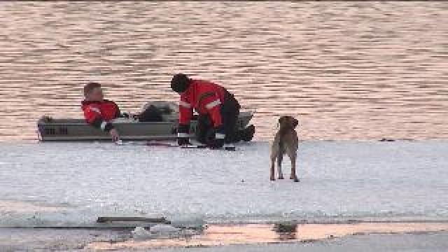 Rescuing dog from ice