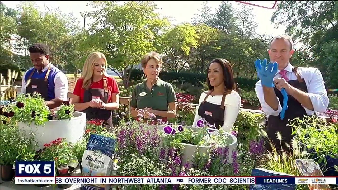 Game Day Gardens: Pike Nursery