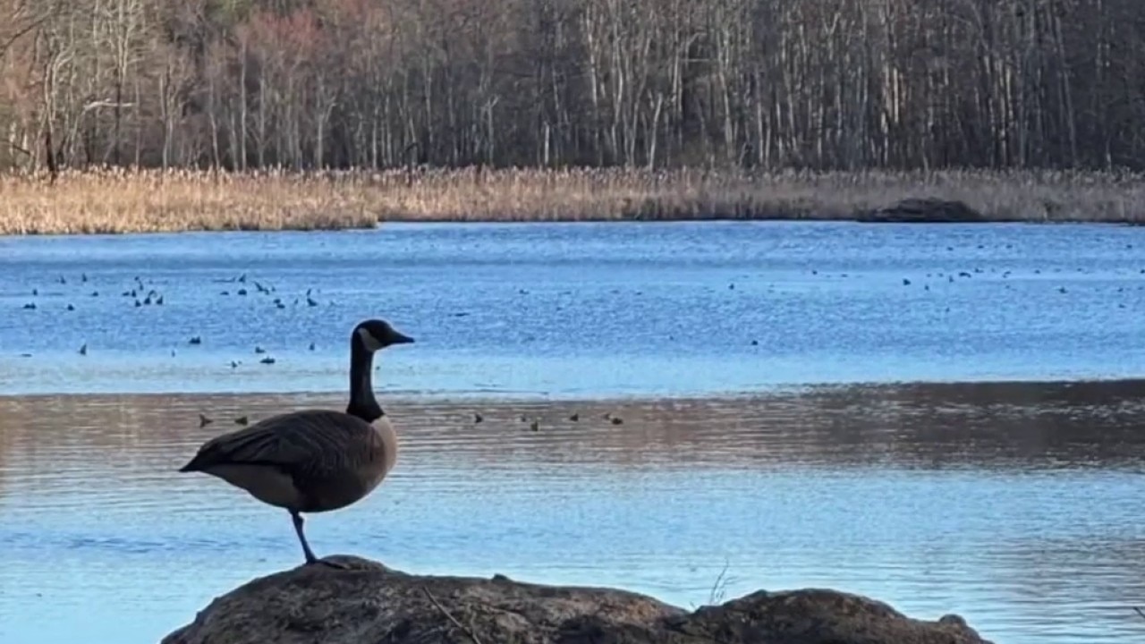 Journey on Appalachian Trail: Austin Travels