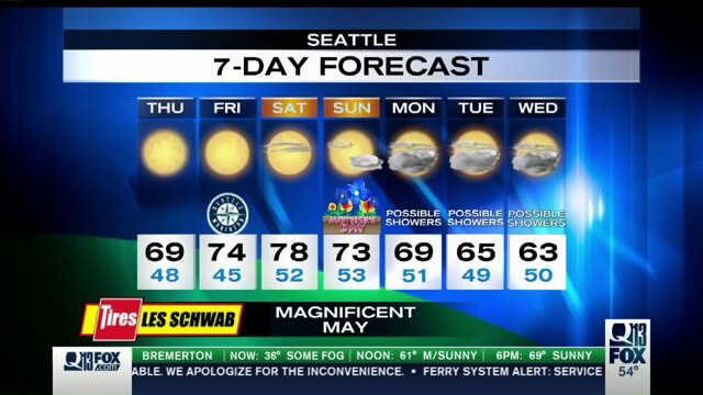 Q13 AM Forecast