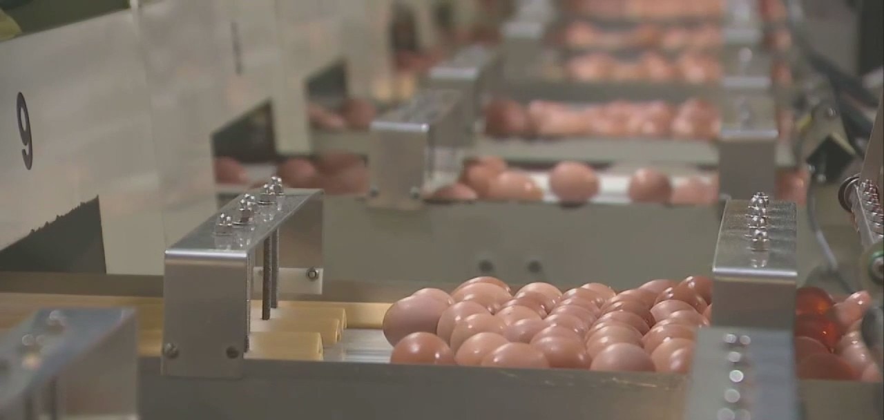 Major food companies awarded over $17 million