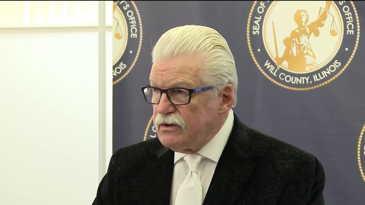 Six dogs found dead in bags in Chicago suburb: 'Deeply disturbing'