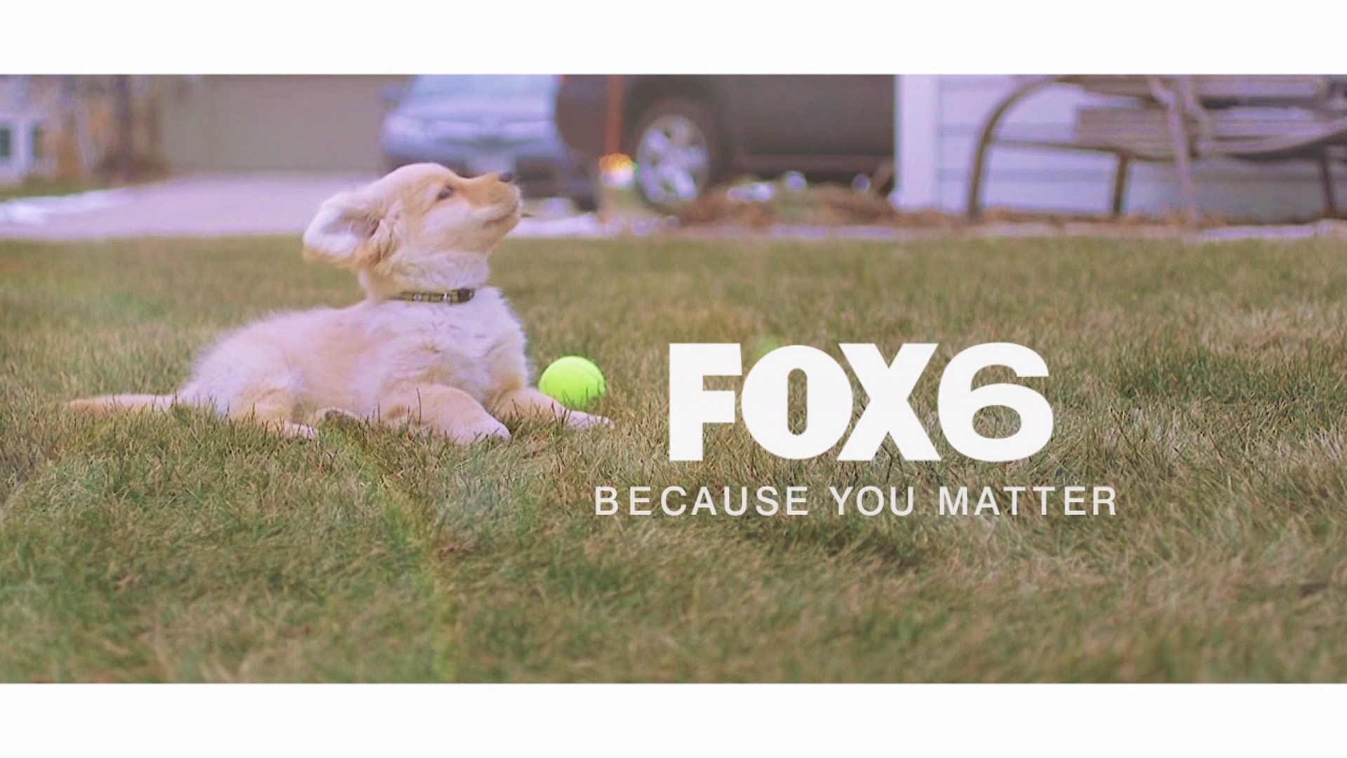Puppy promotion for FOX6