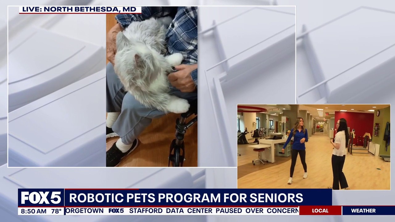 Robotic Pets Program For Seniors