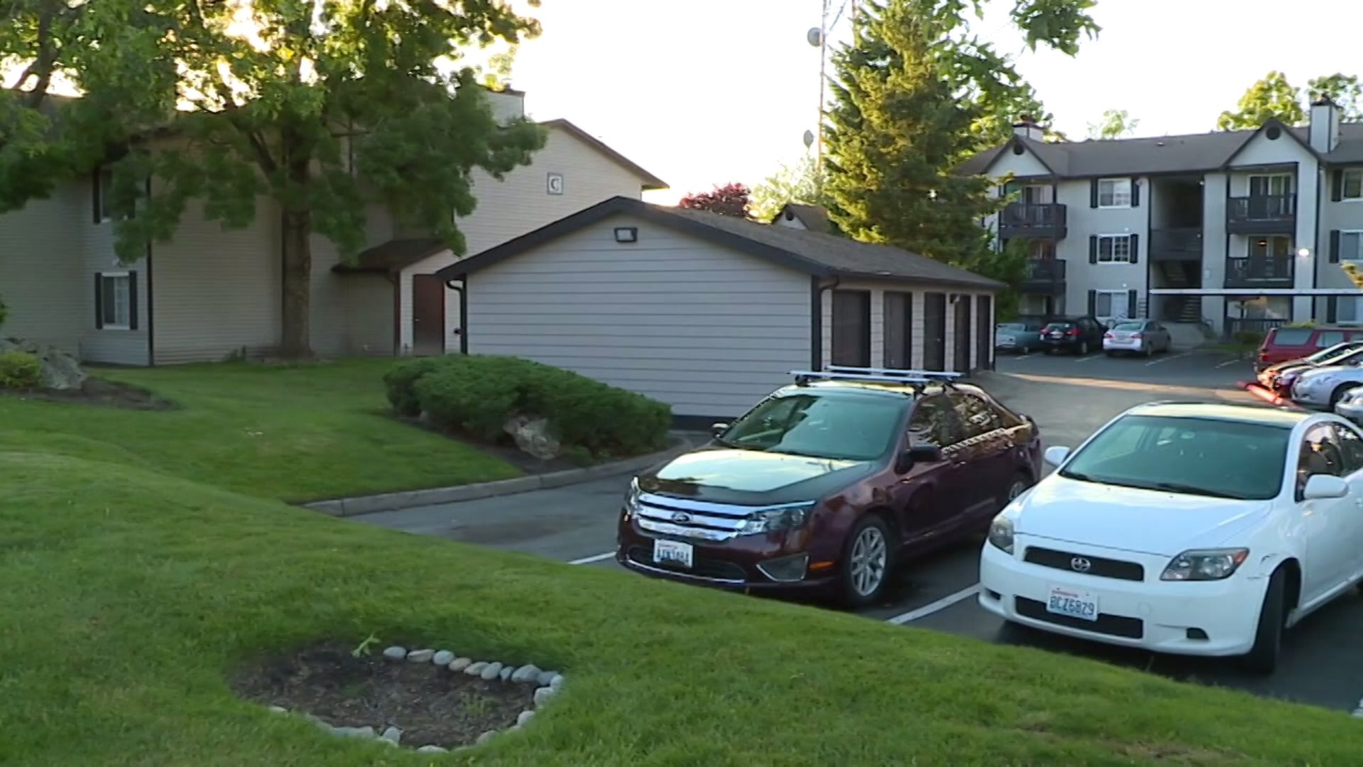 VICTIM TRIES TO STOP CAR PROWL
