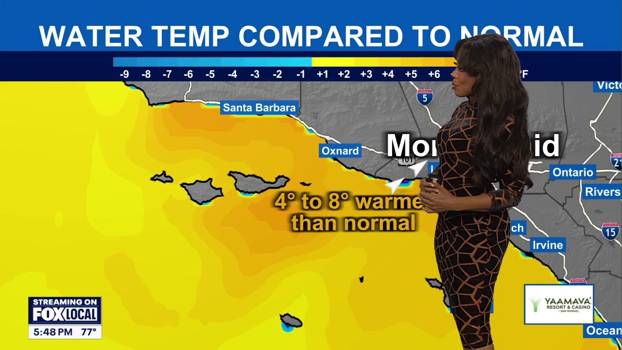 Weather Forecast for Sunday, July 26